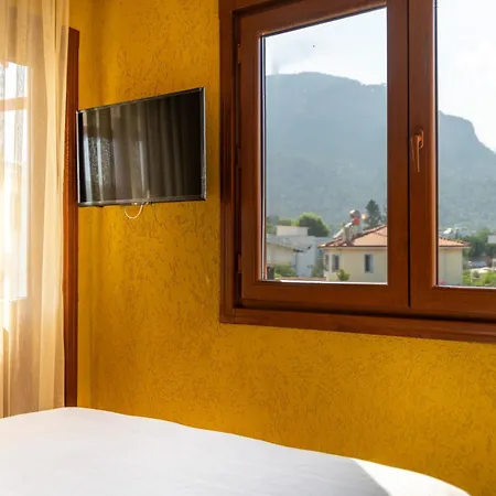Hébergement de vacances -villa Vildan- 12 Kisilik Oezel Havuzlu 6 Odali *