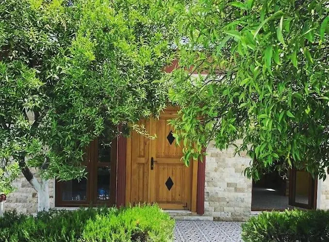 -villa Vildan- 12 Kisilik Oezel Havuzlu 6 Odali Hébergement de vacances *